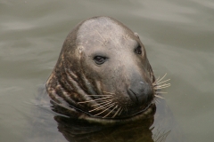 Zatoka Pucka 2005