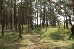 Zatoka Pucka 2005
