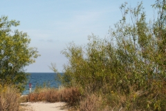 Jastarnia 2005 (IX)