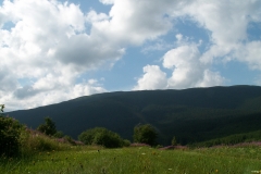 Kiczory 2005