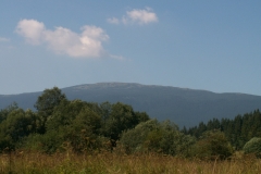 Kiczory 2005