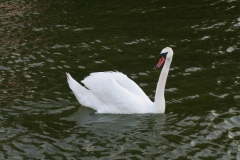 Mazury 2005