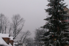 Murzasichle 2005