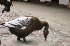 Wrocław 2005