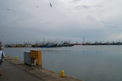 Jastarnia 2006