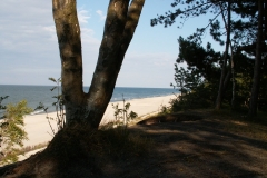 Jastarnia 2006