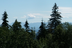Kiczory 2006