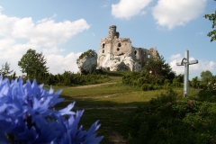 Mirów Bobolice 2006