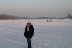 Sosina 2006