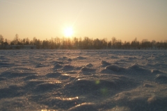 Sosina 2006