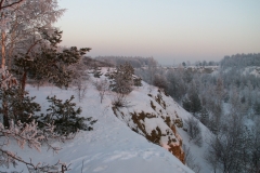 Sosina 2006
