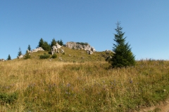 Vrátna 2006