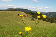 Vrátna 2006