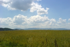 Goleszów 2007