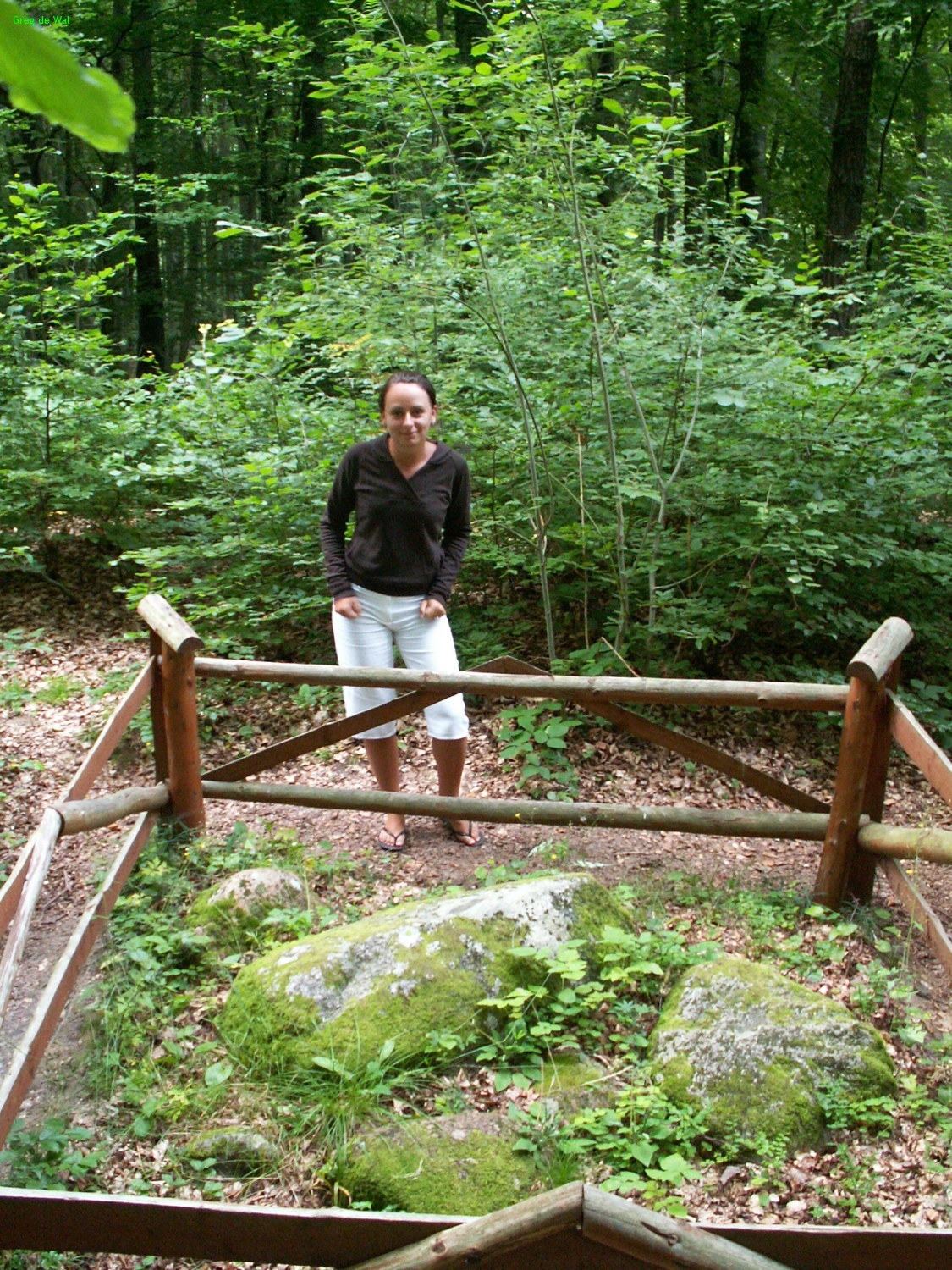 Jastarnia 2007