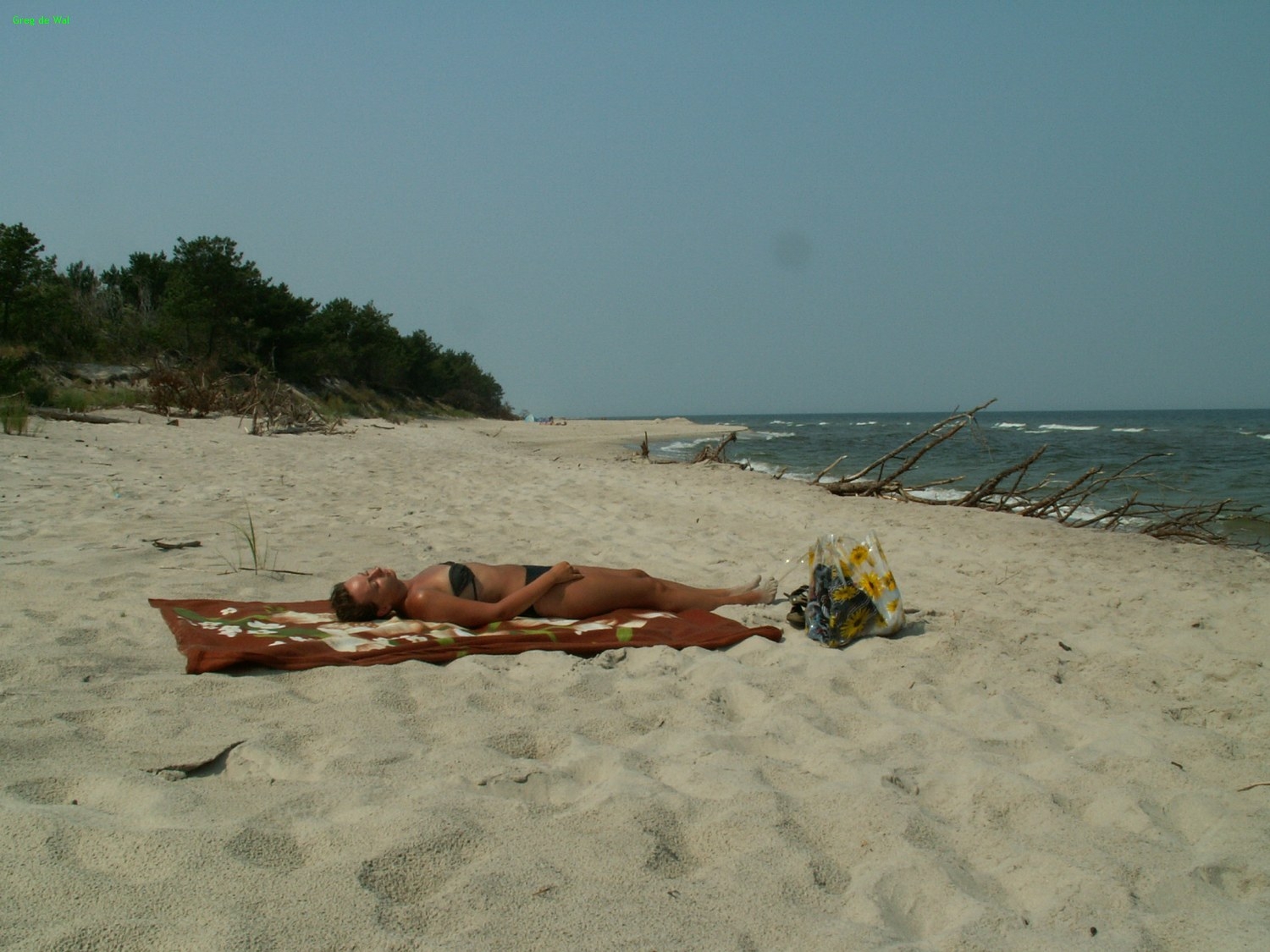 Jastarnia 2007