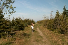 Javorový 2007