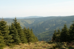 Javorový 2007