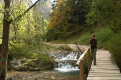 KONICA MINOLTA DIGITAL CAMERA