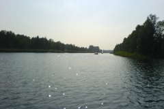 Sosina 2007