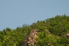Podyjí Thayatal 2007