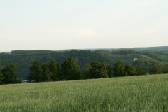 Podyjí Thayatal 2007